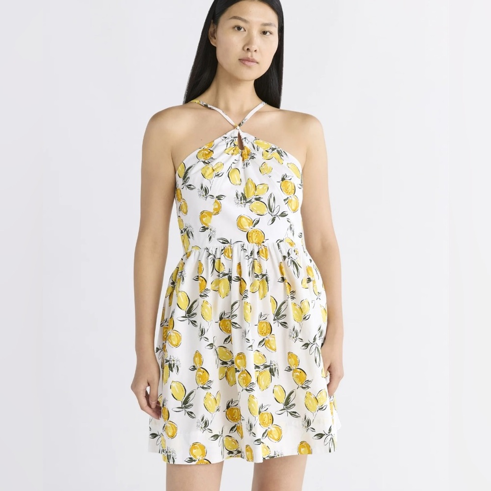 Free Assembly Women's Sleeveless Halter Fit and Flare Cotton Mini Dress, XL